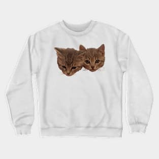 Baby Baxter and Jelly Bean - Cute Kittens Crewneck Sweatshirt